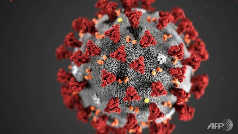 virus 2019-ncov sap co ten goi chinh thuc moi de doc hon? hinh 1