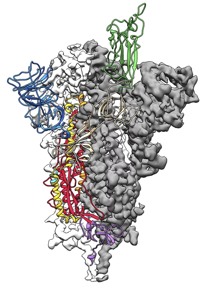 dot pha trong dieu che vaccine ngua covid-19 tai my  hinh 1