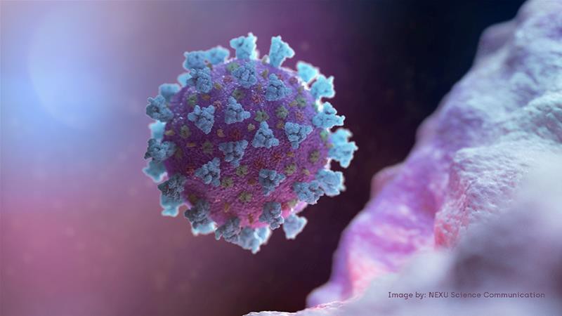 australia phat hien thuoc tri chay co the tieu diet virus sars-cov-2 hinh 1