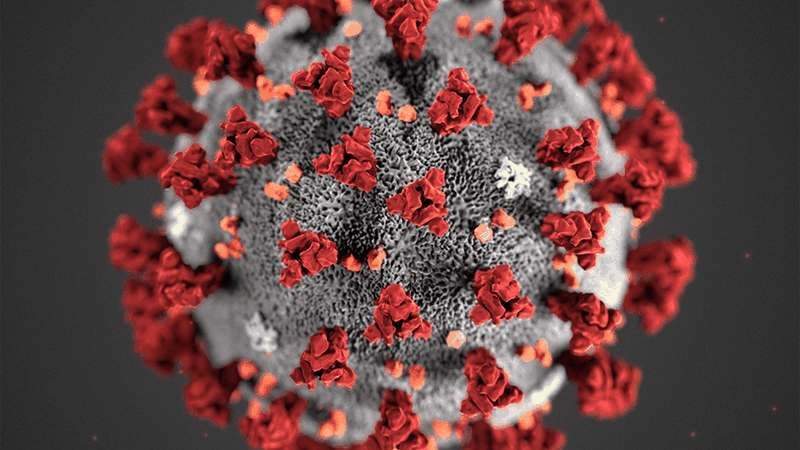 sars-cov-2 tao thanh tu su tai to hop giua virus tren doi va te te? hinh 1