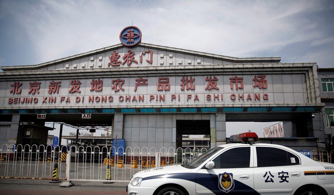 covid-19 hoi sinh: "moi ngay la mot ky luc moi va nghiet nga hon" hinh 1