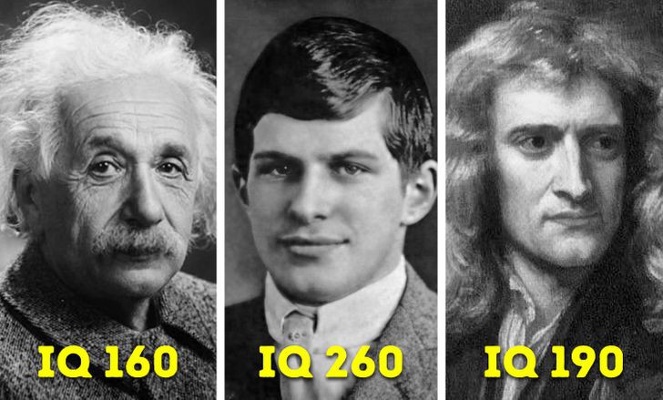 so phan ham hiu cua nguoi co chi so iq cao hon ca einstein hinh 1