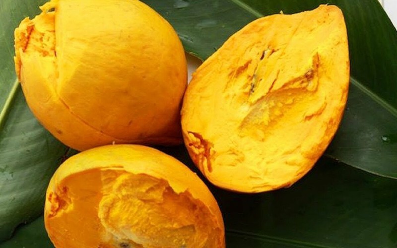 qua trung ga va tac dung tuyet voi cho suc khoe hinh 1