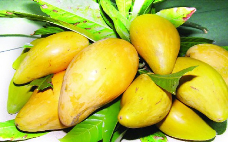 qua trung ga va tac dung tuyet voi cho suc khoe hinh 7
