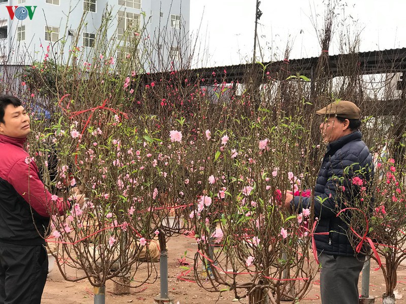 du bao thoi tiet ngay 28 tet: khong khi lanh suy yeu, mien bac am dan hinh 1