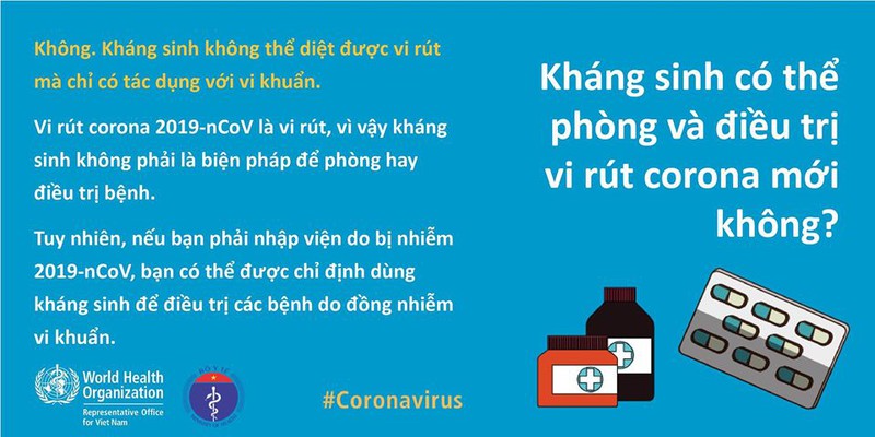 an toi co chong virus corona, nuoi dong vat co truyen virus?  hinh 11