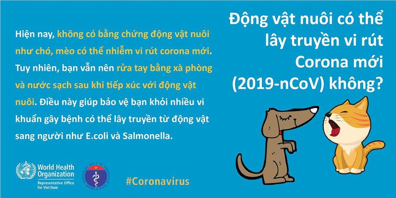 an toi co chong virus corona, nuoi dong vat co truyen virus?  hinh 14
