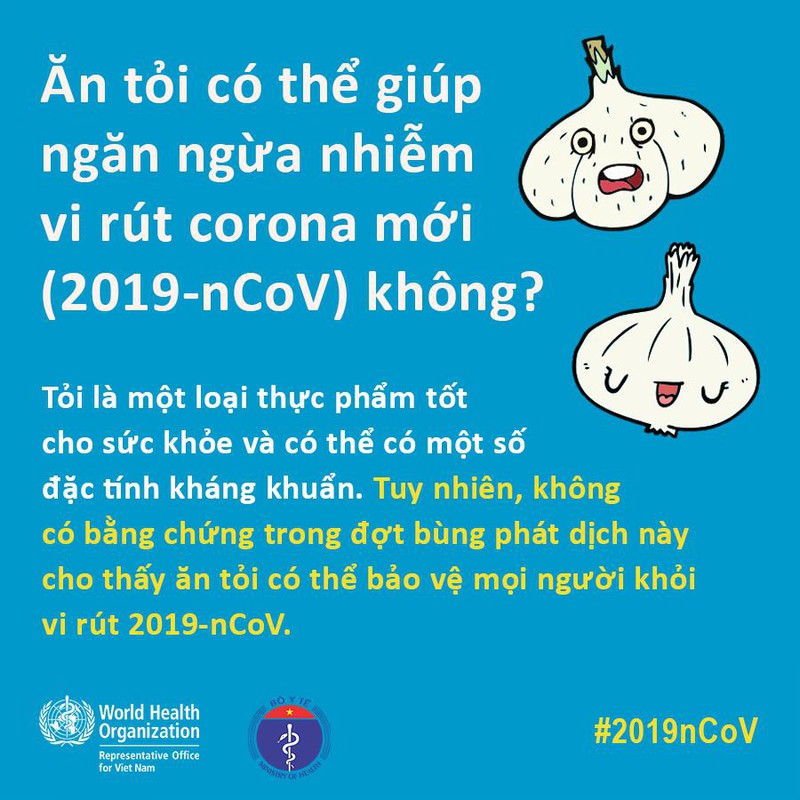 an toi co chong virus corona, nuoi dong vat co truyen virus?  hinh 4