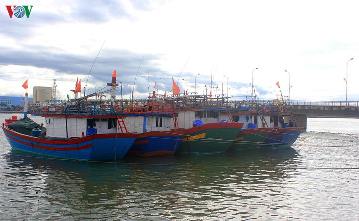 binh dinh hoan thanh lap thiet bi giam sat hanh trinh tau ca truoc 30/4 hinh 1
