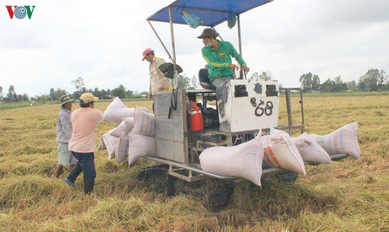 thu tuong dong y cho xuat khau gao tro lai binh thuong tu 1/5/2020 hinh 1