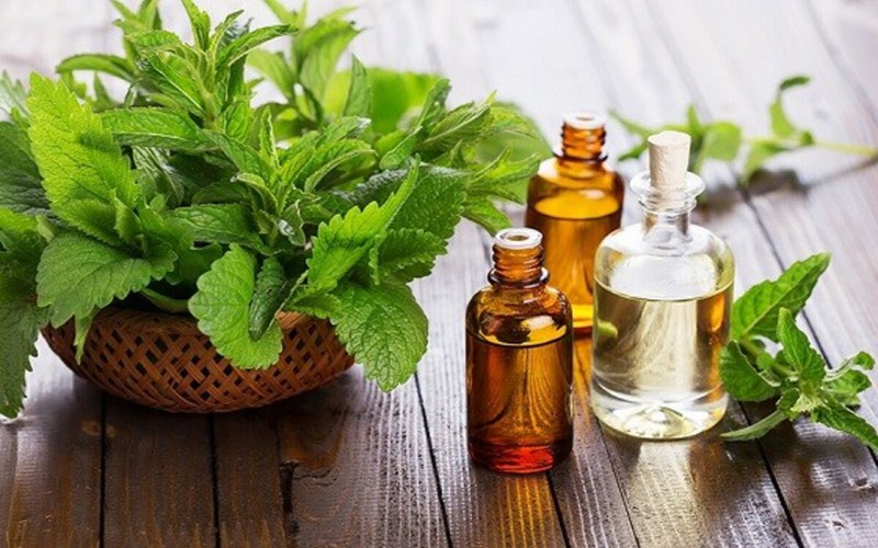 10 thoi quen de tranh mac benh vao mua he hinh 8