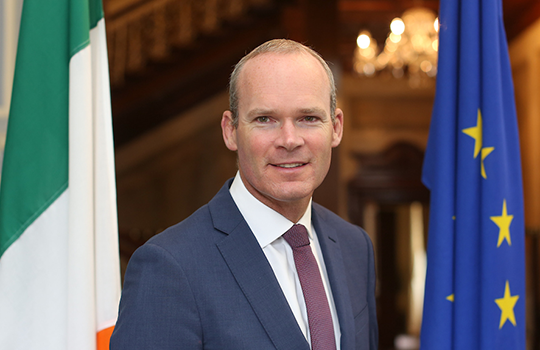 ben canh hop tac kinh te, viet nam san sang cung ireland ung pho covid-19 hinh 2