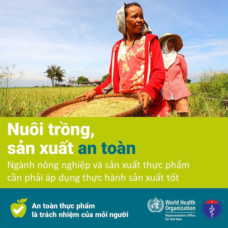 huong dan dam bao ve sinh an toan thuc pham mua dich covid-19 hinh 11