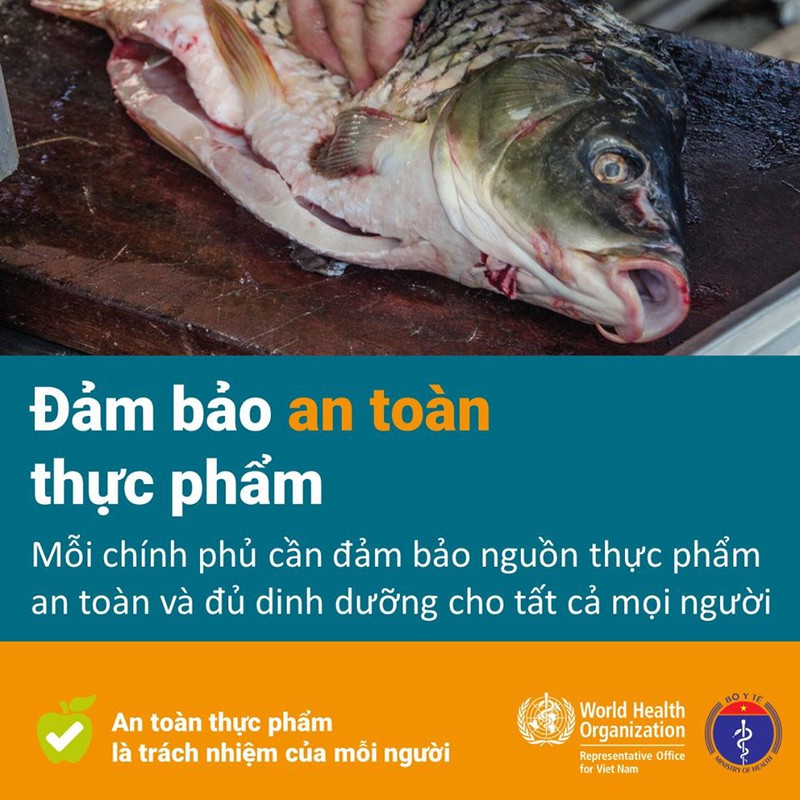 huong dan dam bao ve sinh an toan thuc pham mua dich covid-19 hinh 10