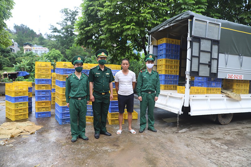thu giu 6.500 con ga giong nhap lau tu trung quoc hinh 1