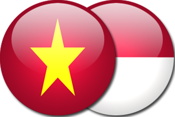 thi thiet ke logo ky niem 65 nam quan he ngoai giao viet nam-indonesia hinh 1