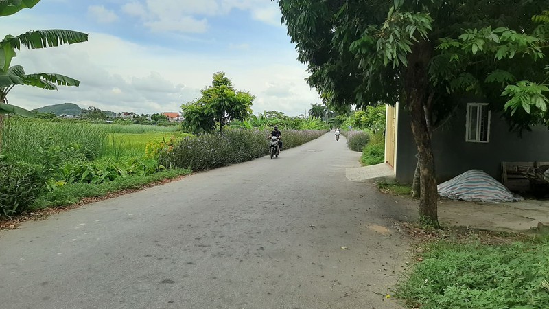 dieu tra vu can bo phuong bi chem sau khi roi tru so hinh 1