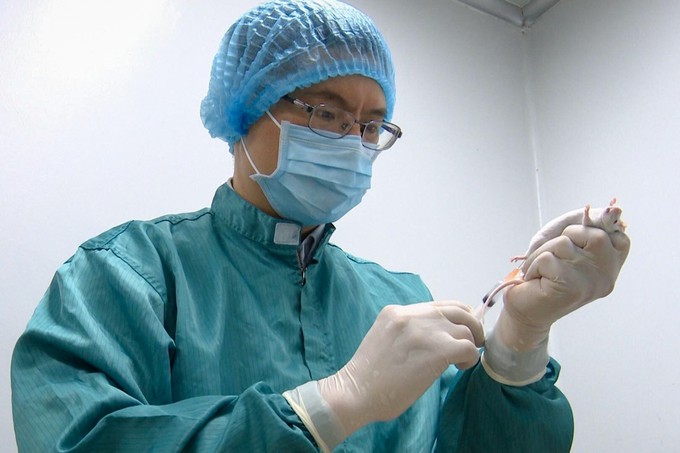 bien chung ncov o da nang khong anh huong toi nghien cuu vaccine hinh 1