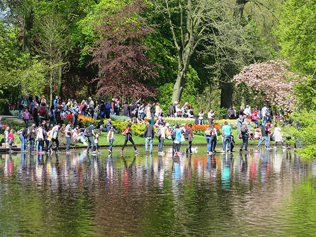 keukenhof - thien duong cua cac loai hoa hinh 4