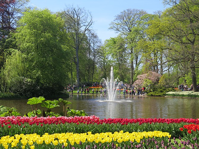 keukenhof - thiên đường của các loài hoa hình 3 keukenhof - thien duong cua cac loai hoa hinh 3