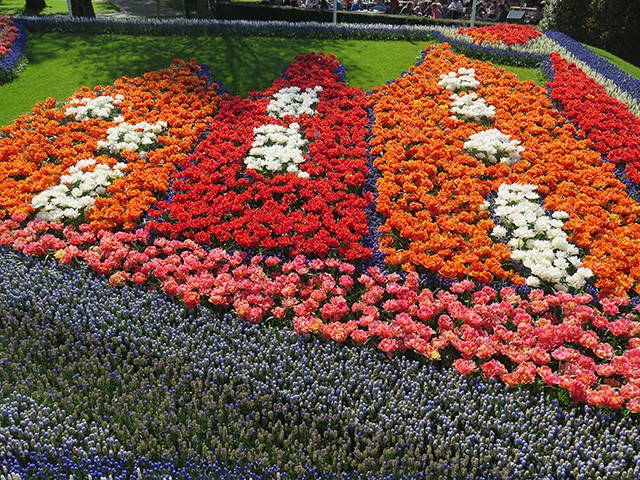 keukenhof - thiên đường của các loài hoa hình 21 keukenhof - thien duong cua cac loai hoa hinh 21