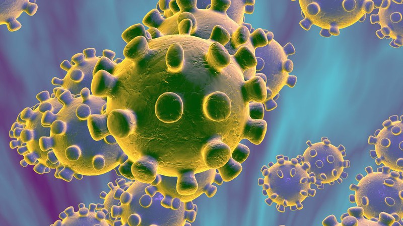 eu se phai tra gia kinh te nhu the nao de 'danh bai' virus covid-19?  hinh 1