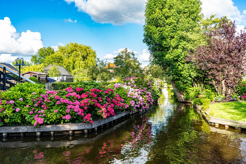 ve dep dac sac cua ngoi lang "co tich" giethoorn giua dich covid-19 hinh 2