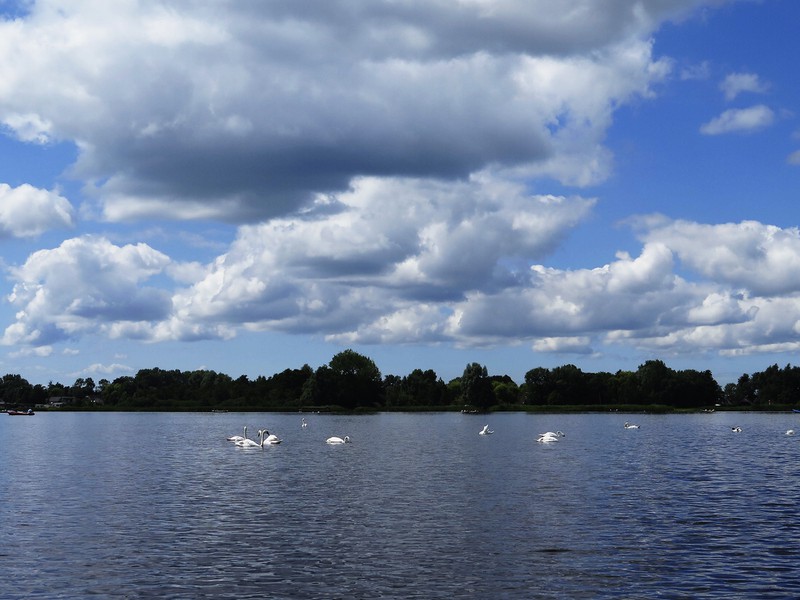 ve dep dac sac cua ngoi lang "co tich" giethoorn giua dich covid-19 hinh 16