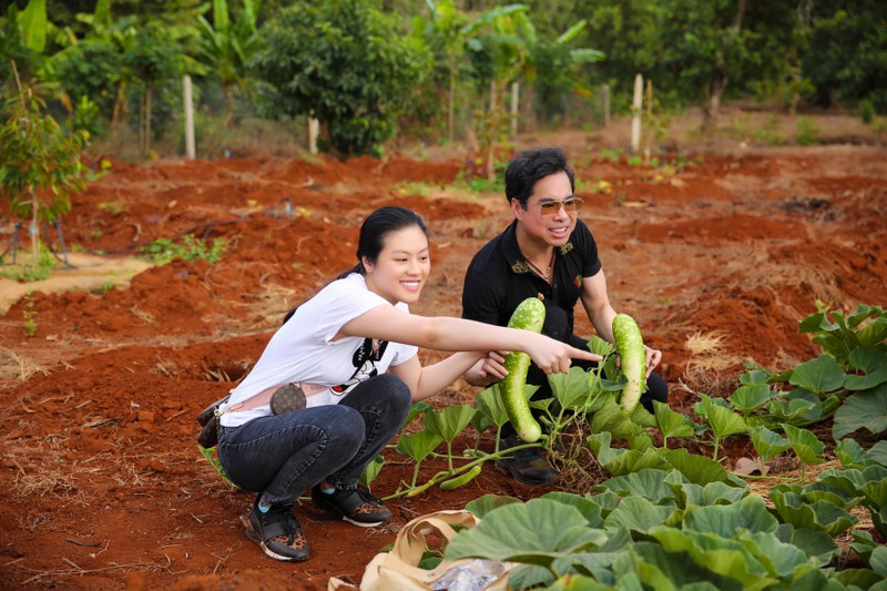 ngoc son lan dau khoe vuon cay rong 20.000 m2 tai lam dong hinh 2