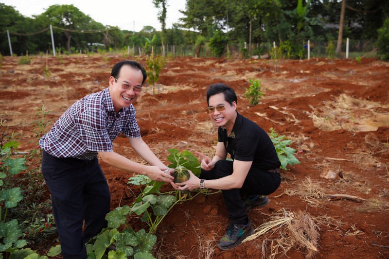 ngoc son lan dau khoe vuon cay rong 20.000 m2 tai lam dong hinh 5