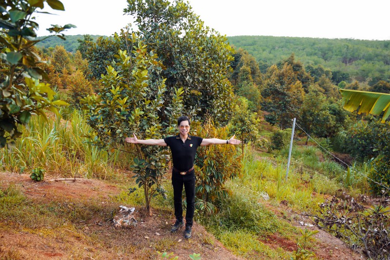 ngoc son lan dau khoe vuon cay rong 20.000 m2 tai lam dong hinh 3
