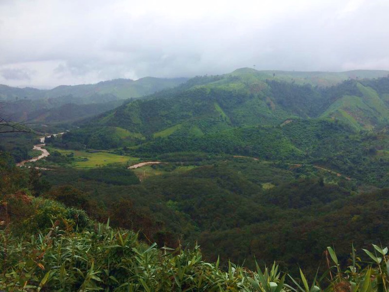 ngoc son lan dau khoe vuon cay rong 20.000 m2 tai lam dong hinh 4