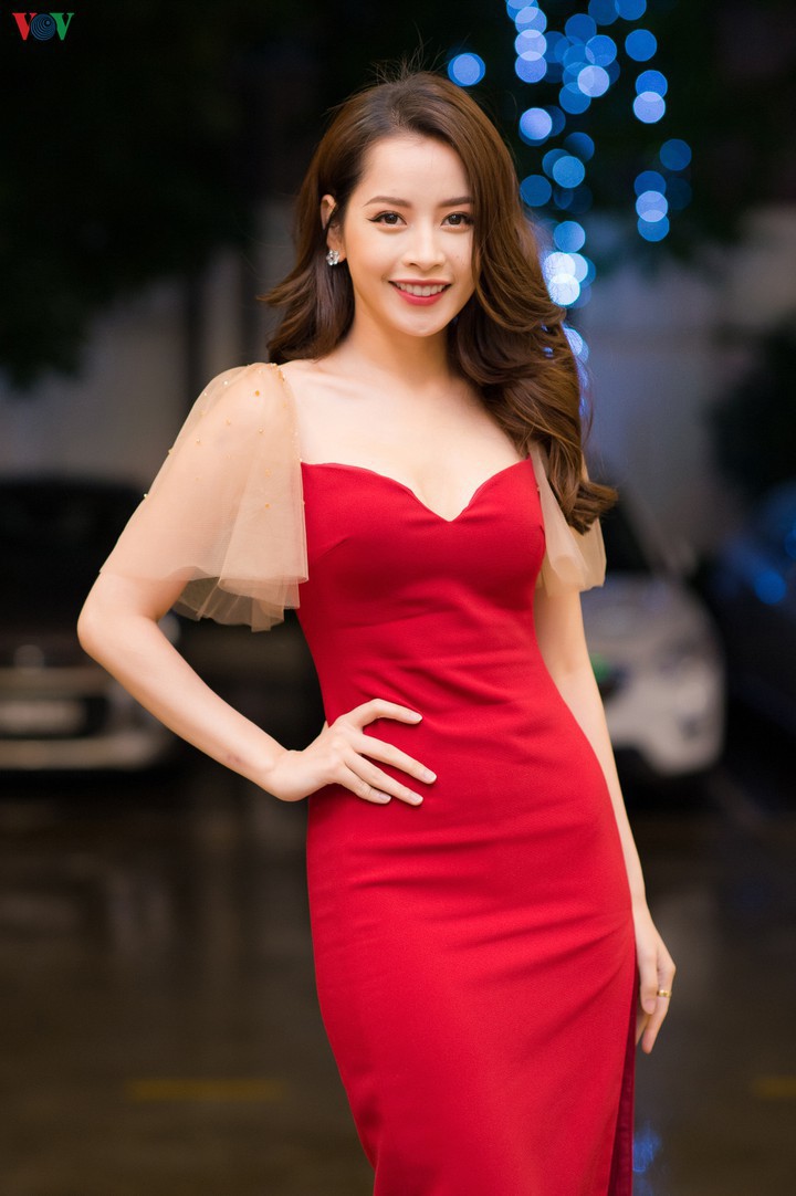 ca sy, nghe sy, doanh nghiep cung chinh phu chong dich hinh 4