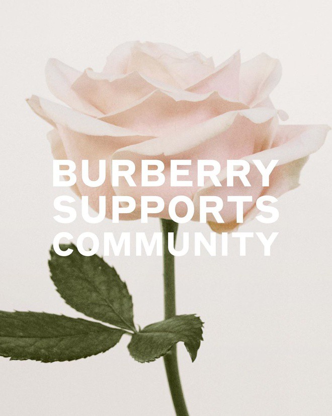 burberry lay vai may ao khoac noi tieng de san xuat do bao ho chong dich hinh 1
