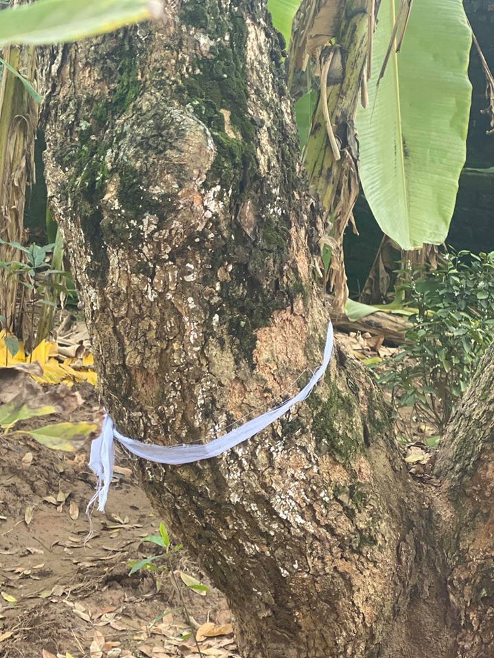 nha tho tran dang khoa: "truoc khi roi coi tam, me toi xoa no cho tat ca!" hinh 3