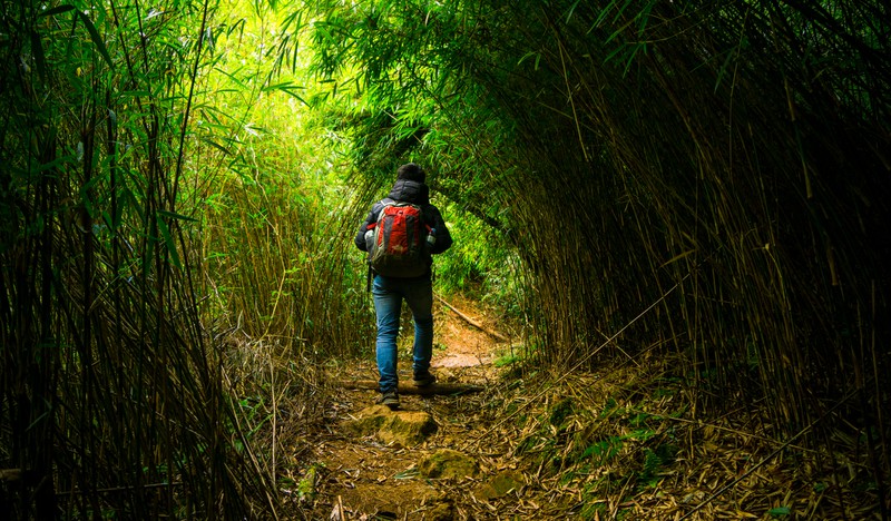 leo nui (trekking) - chinh phuc, kham pha, vuot qua gioi han ban than hinh 2