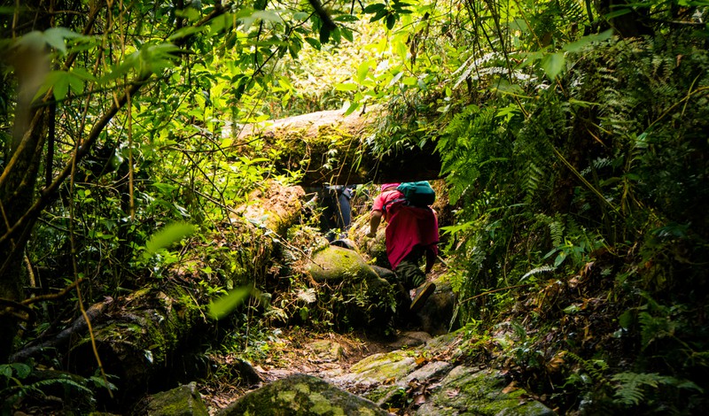 leo nui (trekking) - chinh phuc, kham pha, vuot qua gioi han ban than hinh 9