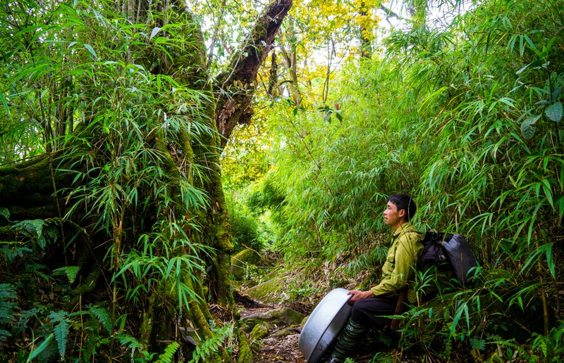 leo nui (trekking) - chinh phuc, kham pha, vuot qua gioi han ban than hinh 10