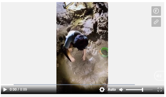 tang thanh ha khoe con trai noi chuyen bang tieng anh luu loat hinh 1