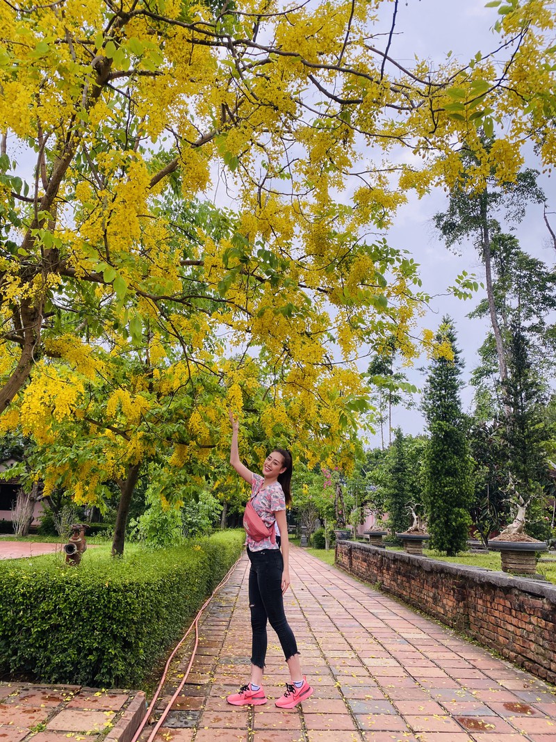 hoa hau khanh van dien ao dai tim ​hoa thanh co gai xu hue hinh 8