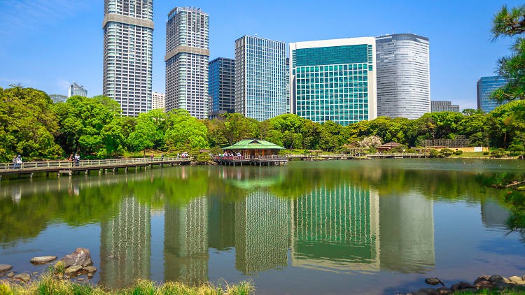 nhung cong vien dep nhat thu do tokyo hinh 1