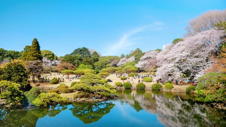 nhung cong vien dep nhat thu do tokyo hinh 2