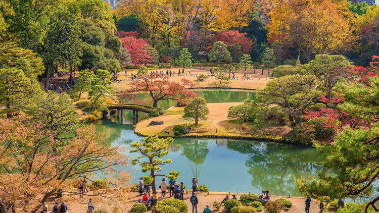 nhung cong vien dep nhat thu do tokyo hinh 3