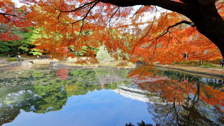 nhung cong vien dep nhat thu do tokyo hinh 6