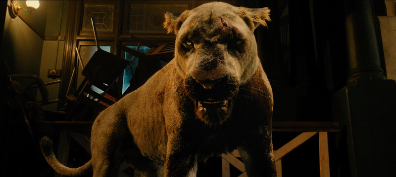 nu than megan fox doi dau manh thu trong phim hanh dong moi hinh 2