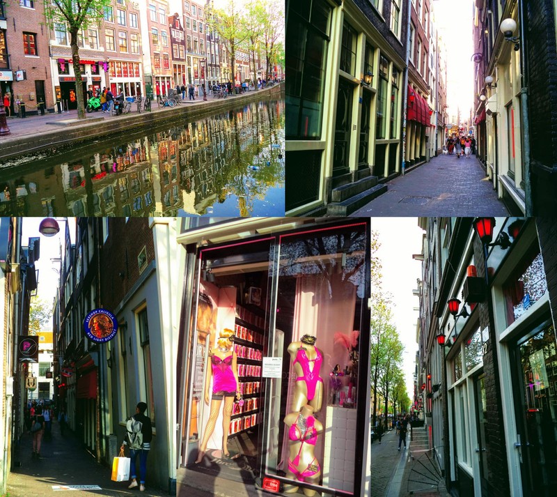amsterdam: diem den ly tuong cua nhung nguoi yeu thich tu do hinh 8