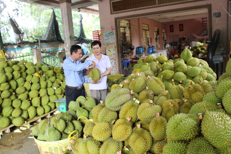 thu tien ty tu sau rieng nghich vu va cac loai trai cay dac san hinh 1