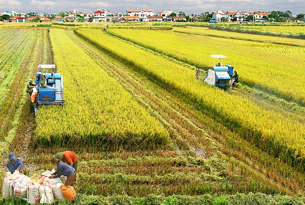tu "khoan ho" den nhung doi moi trong nong nghiep hinh 1