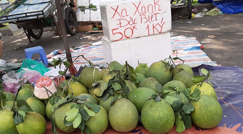 gia mam ngu qua tai tp. hcm tang tu 10-20% hinh 1