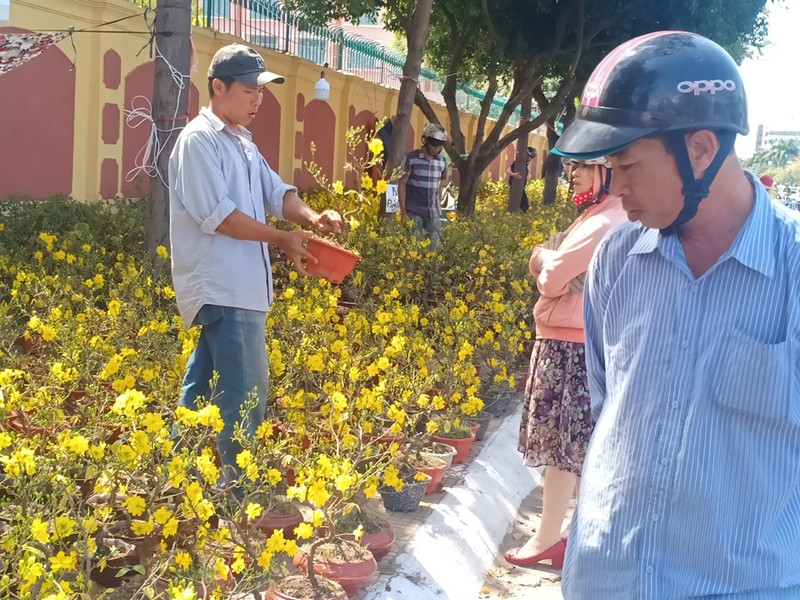 ba ria - vung tau: am dam cho hoa tet cuoi nam hinh 2